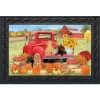 Fall Puppies Doormat Pumpkins Floral Indoor / Outdoor 30" X 18" Briarwood Lane