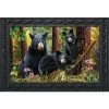 Black Bear Family Nature Doormat Indoor Outdoor 30" X 18" Briarwood Lane