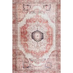 NuLOOM Vintage Minna Area Rug -Rug Sales Store GUEST a521a85a e6bd 421e 9eed 2f7726d252a5
