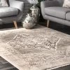NuLOOM Vintage Cassie Fringe Area Rug