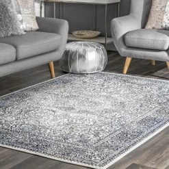 NuLOOM Transitional Delores Area Rug